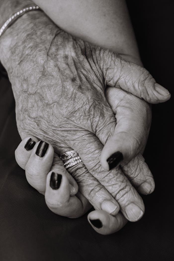 Close-up of elderly hands holding each other, showing love and connection.